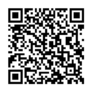 他怎么也不会把那么宝贵的大巫传承交到他手里二维码生成