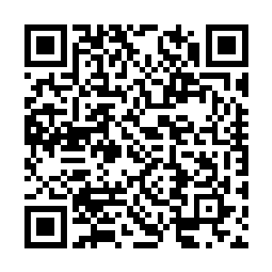 他怎么也每当想到这两个老者竟然如此的没有节操二维码生成