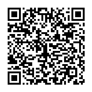 他怎么也没有想到自己眼中的肥羊竟然转眼之间就变成了一只洪水猛兽二维码生成