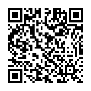 他怎么会容忍一个与自己境界相同的人如此藐视自己二维码生成