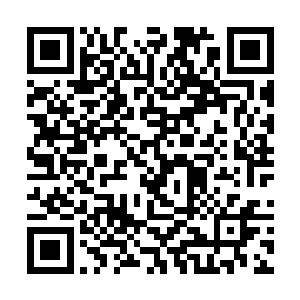 他怎么会把这些独属于祭司的知识就这么传授给别人二维码生成