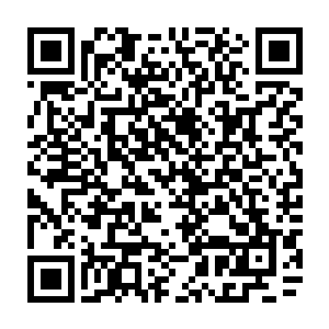 他怎么都想不通自己屡试不爽的阴霾妖气怎么会对眼前的少年一点作用都没有二维码生成