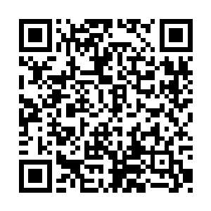 他怕爸爸妈妈受到的伤害会大到让他们承受不了二维码生成