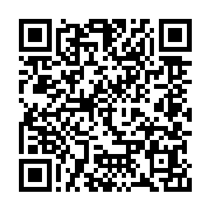 他思乡心切在神卫军从武胜军里招手人手的时候二维码生成