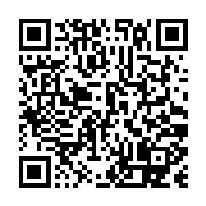 他急忙将手按在了这石制的莲花池的旁边要看个究竟二维码生成