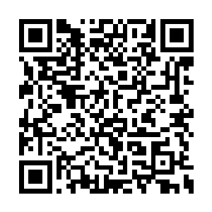 他总不见得是说服了奥尔登和拉比特过来自首吧二维码生成