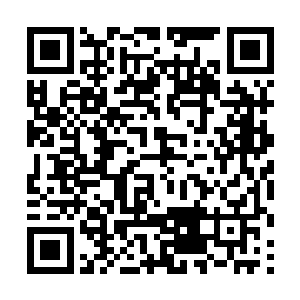 他总是甘当绿叶――甚至可以说求之不得地想当绿叶二维码生成