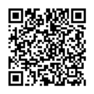 他总算是明白先前看到的那些残尸是如何来的了二维码生成