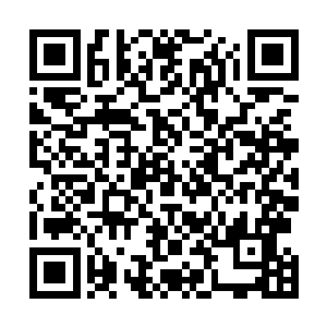 他总算知道为什么三十轮潮汐的兵王称号如此不易取得了二维码生成