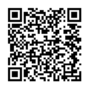 他恨这些人用那么无耻的方式抢走了他和风的食物二维码生成