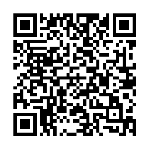 他情不自禁地记起了当初秦始皇吸取他体内龙气的情景二维码生成