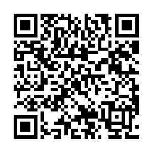 他情愿自己随机到的宇宙是天网和人类对战的末世战场二维码生成