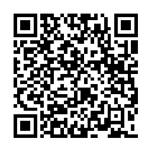他惦记了好久的项目还想请个一流的外国男演员二维码生成