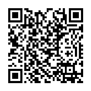 他想也没想用尽全身的内力从暗一的身上飞了起来二维码生成