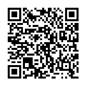他想从这死气沉沉的马路大眼睛中看看到底还有没有生命力二维码生成