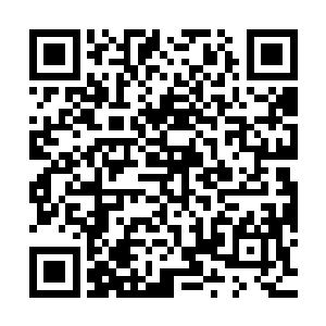 他想到这少年人昨夜听到自己说是其祖父的人那毫不留情的杀手二维码生成