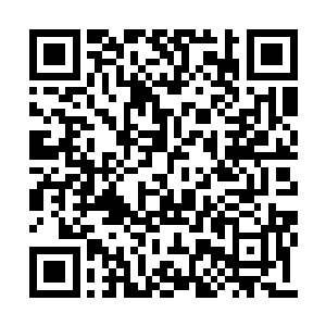 他想得肯定比几个只知道鉴定的老古董们更现实二维码生成