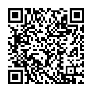 他想把十根手指都放到最粗糙的砖石上去狠狠摩擦二维码生成