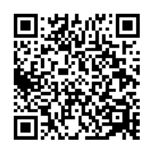 他想用向自己妥协的方式来换取自己停止对苏小红的调查二维码生成