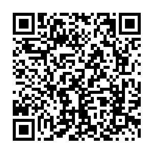 他想看看放生这些普通动物后那颗小树生长出来的救赎之果是什么样子的二维码生成