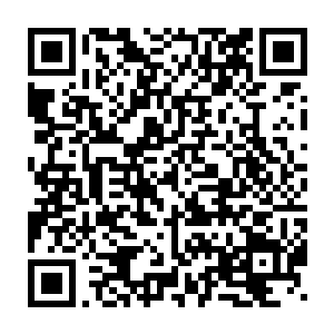 他想看看这两个人战斗起来是如何将速度和身法发挥到最强的境界的二维码生成