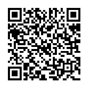 他想要娶她的目的无怪乎是她自身的能力和背后的实力二维码生成