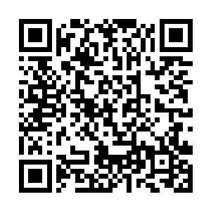 他想要将那个妖族小丫头杀死的话就有些不太可能了二维码生成