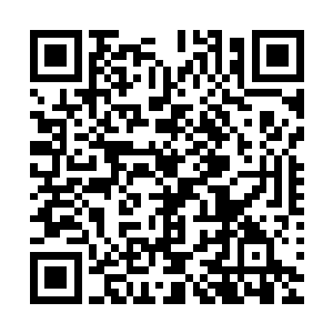 他想要把那件古董女皇砚中砚拍下来作为他锦玉轩的镇店之宝二维码生成