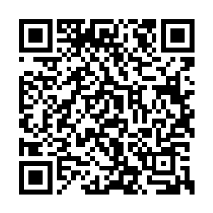 他想要看看许紫烟听到这个消息之后狂喜的反应二维码生成