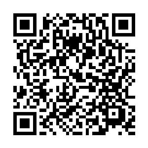他想要立刻的那扇门前便被一道能量的波动给挡住了二维码生成
