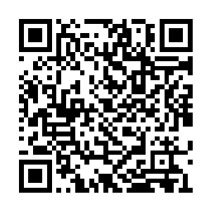 他想让你回来告诉我们他跟南天门已经达成协议二维码生成