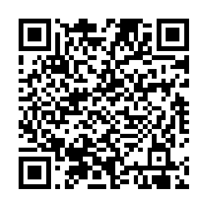 他想说您一个人尊期大修士为什么要怕许紫烟一个仙帝二维码生成