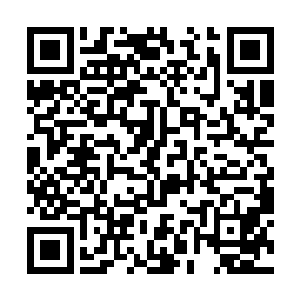他感兴趣的是看着那些神仙如同凡人一般生动的表情二维码生成