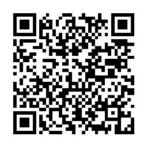 他感受到自己已经大量消耗的体力居然回复了一点二维码生成