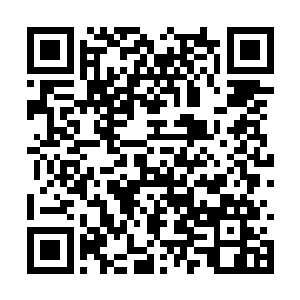 他感激自己的师父早已经料到了许紫烟这个万剑诀二维码生成