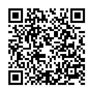 他感觉到一股巨力从自己的剑延伸到自己的手臂上二维码生成