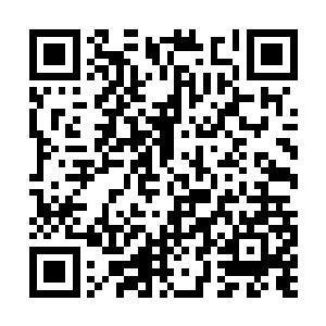 他感觉自己变成了一大片相同性质的古菌的集合体二维码生成