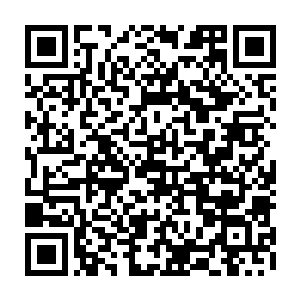 他感觉自己宁愿跟不朽顶峰的高手战斗也不愿意跟龙傲天这样的变态战斗二维码生成