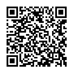 他感觉这片区域仅仅是金天珠内世界的九牛之一二维码生成