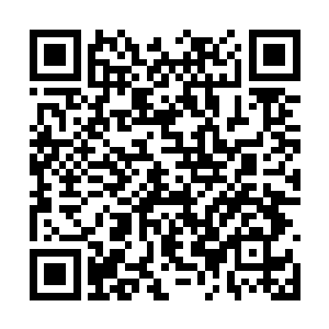 他慢慢地喝了一口略带着焦燥味道的上青林手工茶二维码生成