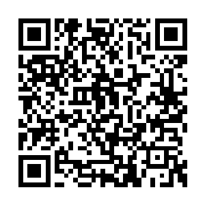 他成天想着要变成和默默一样的小两脚怪的样子二维码生成