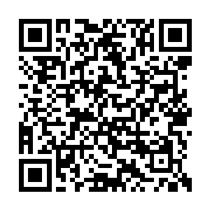 他或许会在几个孙子中挑选一人继承斯密斯家族二维码生成