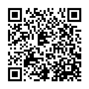 他所作出的一切选择也都是他最终结局的直接导向二维码生成
