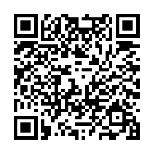 他所最敬重的顶头上司――沈大先生打过来的电话二维码生成