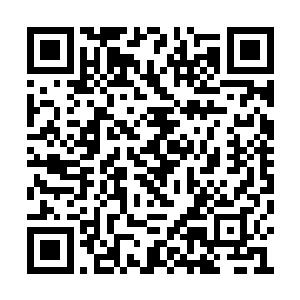 他所能牵引而来的天地元气日月精华自然不用说二维码生成