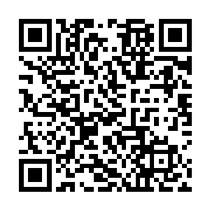 他所过之处秘境内的花草树木走兽飞鸟鱼虫全部消失了二维码生成