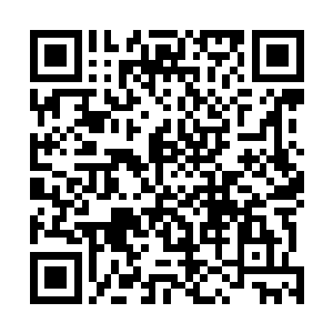 他手下还有两大说出去可以让世间之人感觉到震惊的存在二维码生成