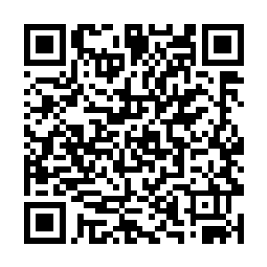 他手中的那颗色彩斑斓无比绚烂的珠子突然间缩小了二维码生成