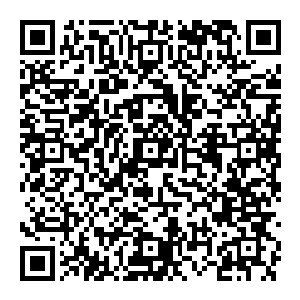 他手把手地教马文那一招夺取敌人兵器的招数――虽说这位高傲的精灵王子压根就不觉得马文能迅速学会这一招难度系数极高的技能二维码生成