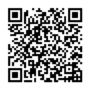 他手里不知什么时候多了一柄十分华贵的黑色长柄雨伞二维码生成